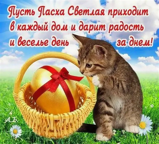 imagepicker13136491-1F6E-4D7E-8B03-BB284143096C-38777-00001E564D30EB6A