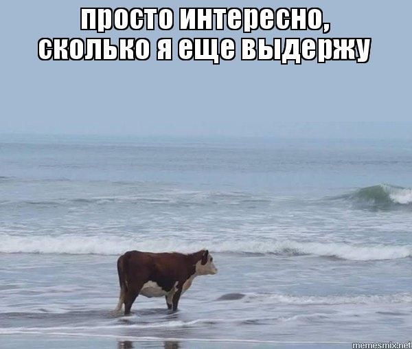 10840188-JmtWe.jpg