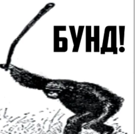 15366778-lZmiA.jpg