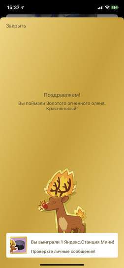 3388169-Yzojl.jpg