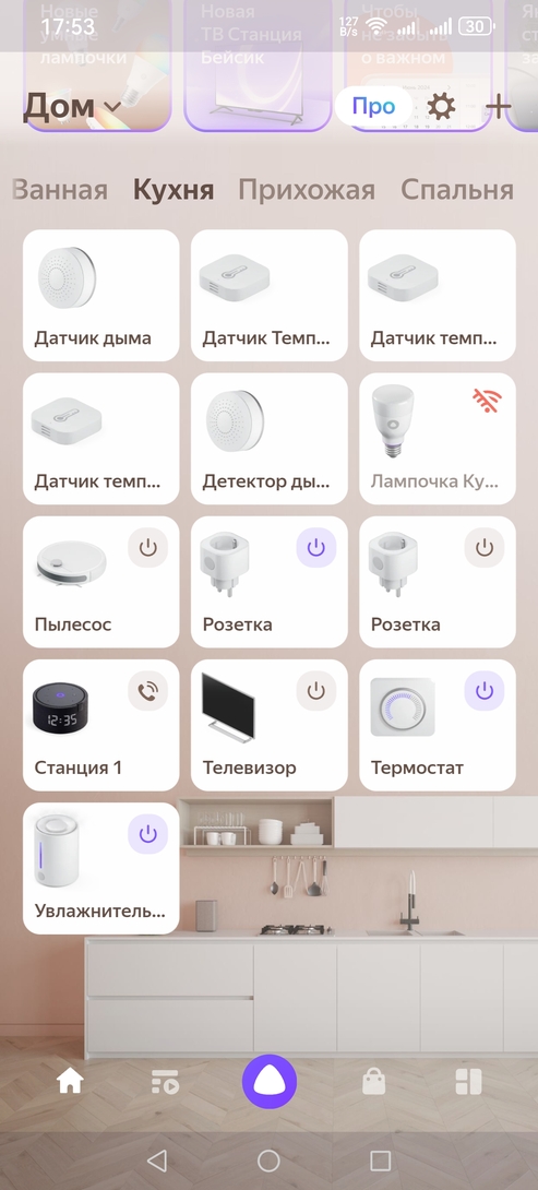 Screenshot20241121175306com.yandex.iot