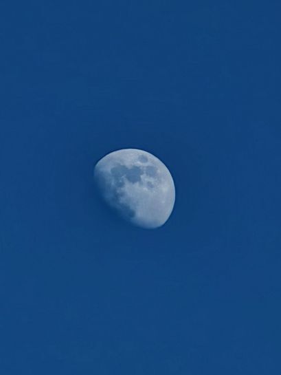 13880091_1.jpg