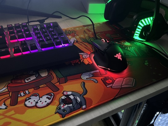 imagepicker8CB8FA98-16E5-4640-9E51-B26CD26A93A6-35275-00001FB5DDCF20AA