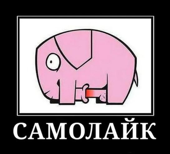 imagepickerCAEEA5C6-AFB8-485D-95E1-1AF7C3ED589A-84972-00000D49AC1738F9