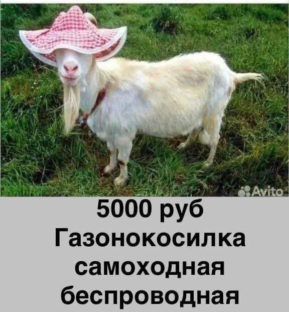 1000010357