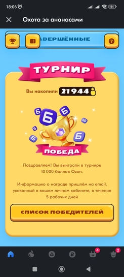 Screenshot2024-12-04-18-06-10-074ru.ozon.app.android
