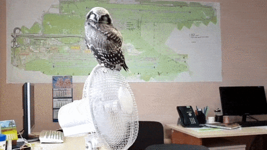 imagepicker6CE3F3E7-C1EB-4BB8-9D09-5D19131B72BA-42040-00001DA2D190DCAB