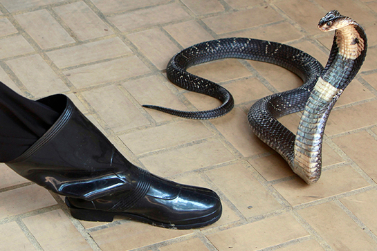 detail347759268dc19dd4ecb0334039f384f5