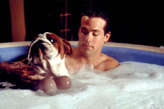 MV5BMjQyZTBmZTktZWY5MC00MjhkLWE1ZDMtNzUzM2E5ZDM2NzgyXkEyXkFqcGc.V1