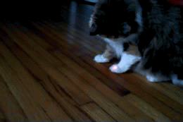 imagepicker8500CD1F-8A1F-4181-BCA4-1E1363AD5A66-14184-00000AEDDB150BB0