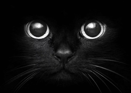 imagepicker2EB97BD6-10DE-443D-94BF-6C55FB4B20CF-14459-000001F1BD1754A4