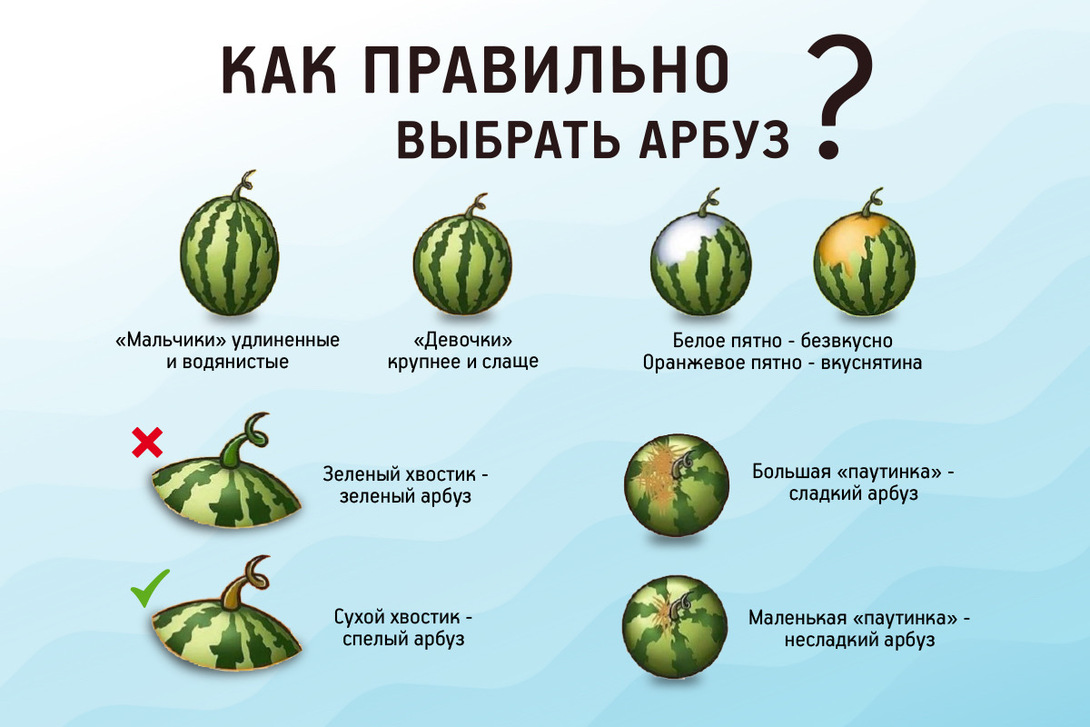 imagepickerC4E46936-86B8-42C7-8992-3C1DF909BC3F-75174-00001EE841B25A75