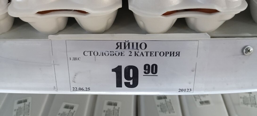 photo2025-07-0800-42-33