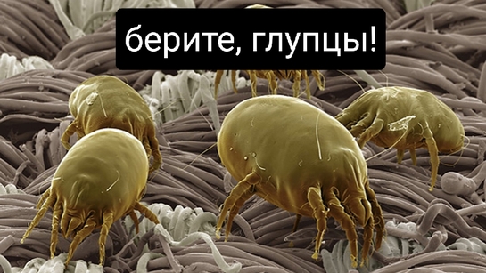1000017318