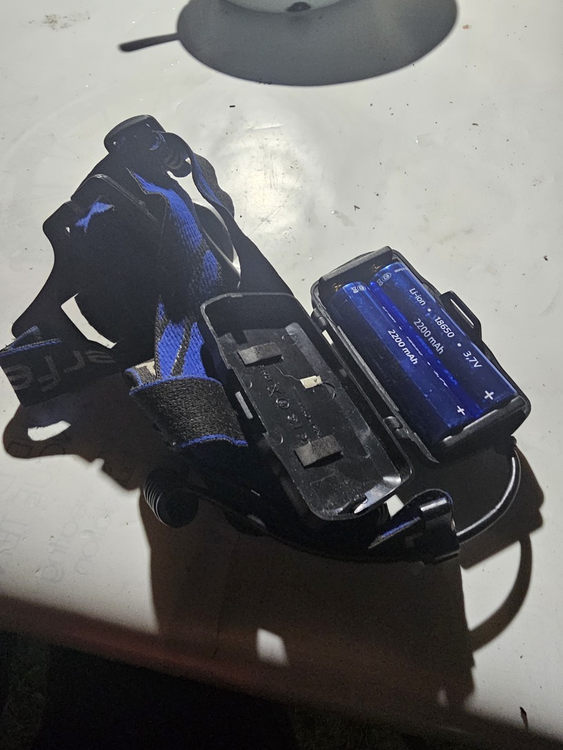 1000032981