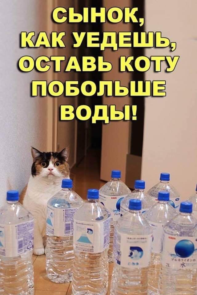 6489