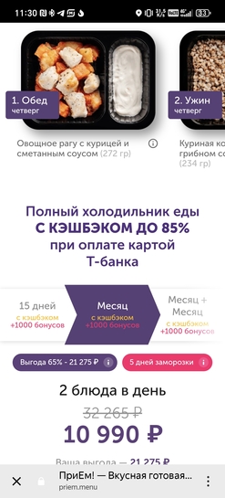 1000061133