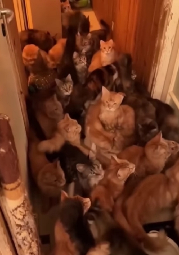 1000042327