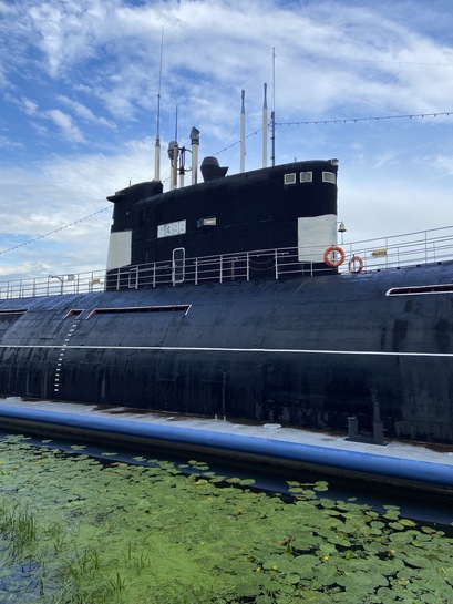 imagepicker96930179-2572-420B-BD80-AF795DDB4381-13875-000001D333078F42