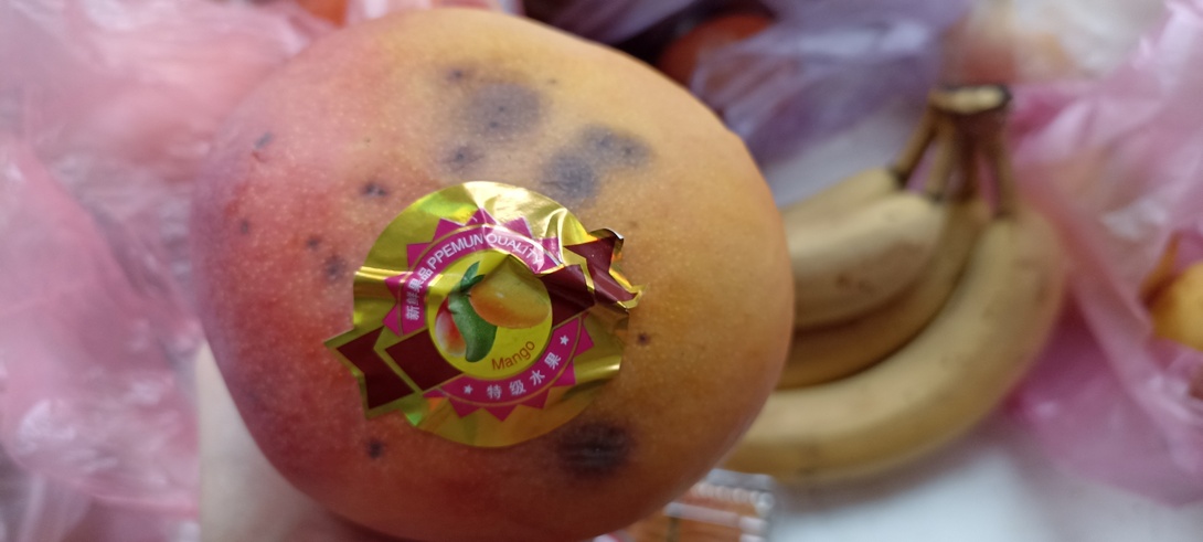 OK-4JgbPZSRQv5dm44eKIxpzKmKi3yI9xToDM43NuALghmUpub4LDFr3MbqE-hpXZus7WrVATsSWVoNifpjtO