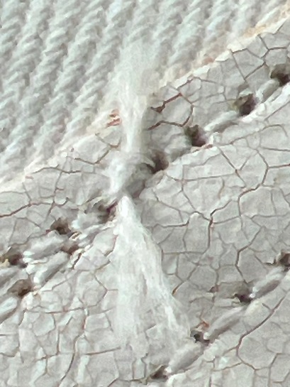 imagepicker0E15B19A-6C29-4E01-8B44-4565E9DA484C-73585-00000B7D9EC514F5