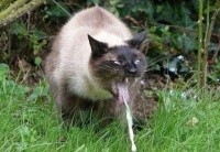 03d81f73261a09ecdf86e81546f55ab4