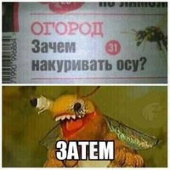 imagepicker4E57F89D-8D52-46FC-81EF-A42E41F1BE4A-17563-0000023AAD9EB283