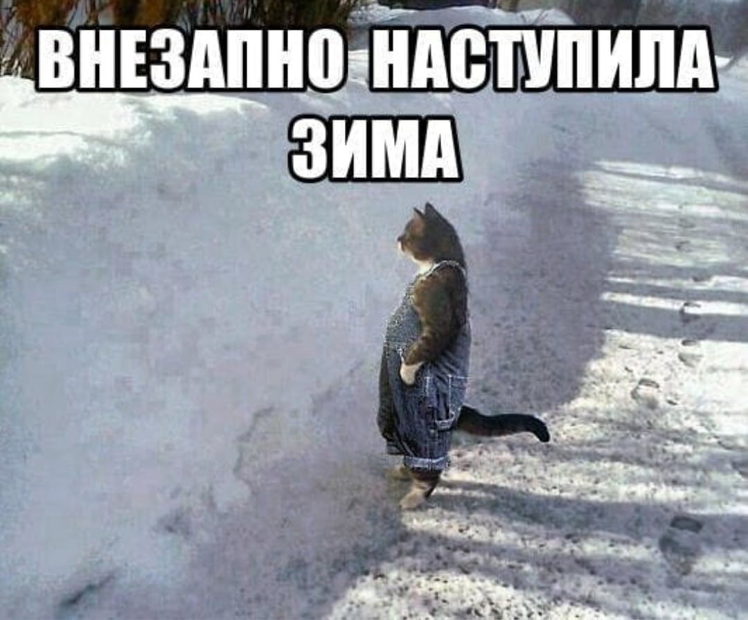 funny-klev-club-p-smeshnie-kartinki-neozhidanno-nastupila-zi-11