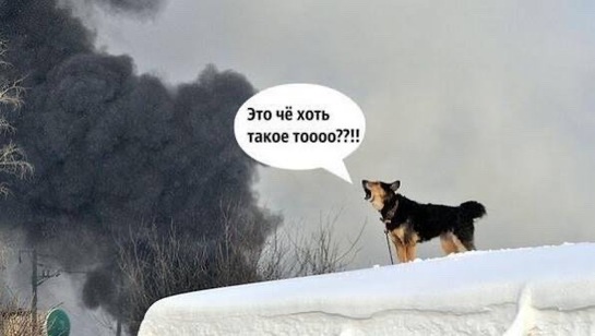 imagepicker0DA3FD92-4DA1-4FF2-B590-03BCE6DEF0C3-21568-000007240E8F1AAA