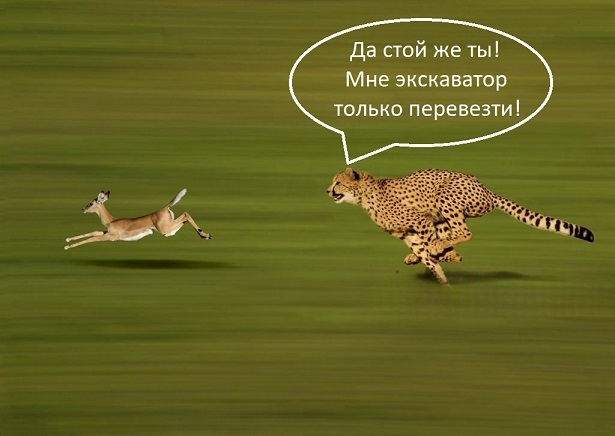 DeWatermark.ai1761423694252
