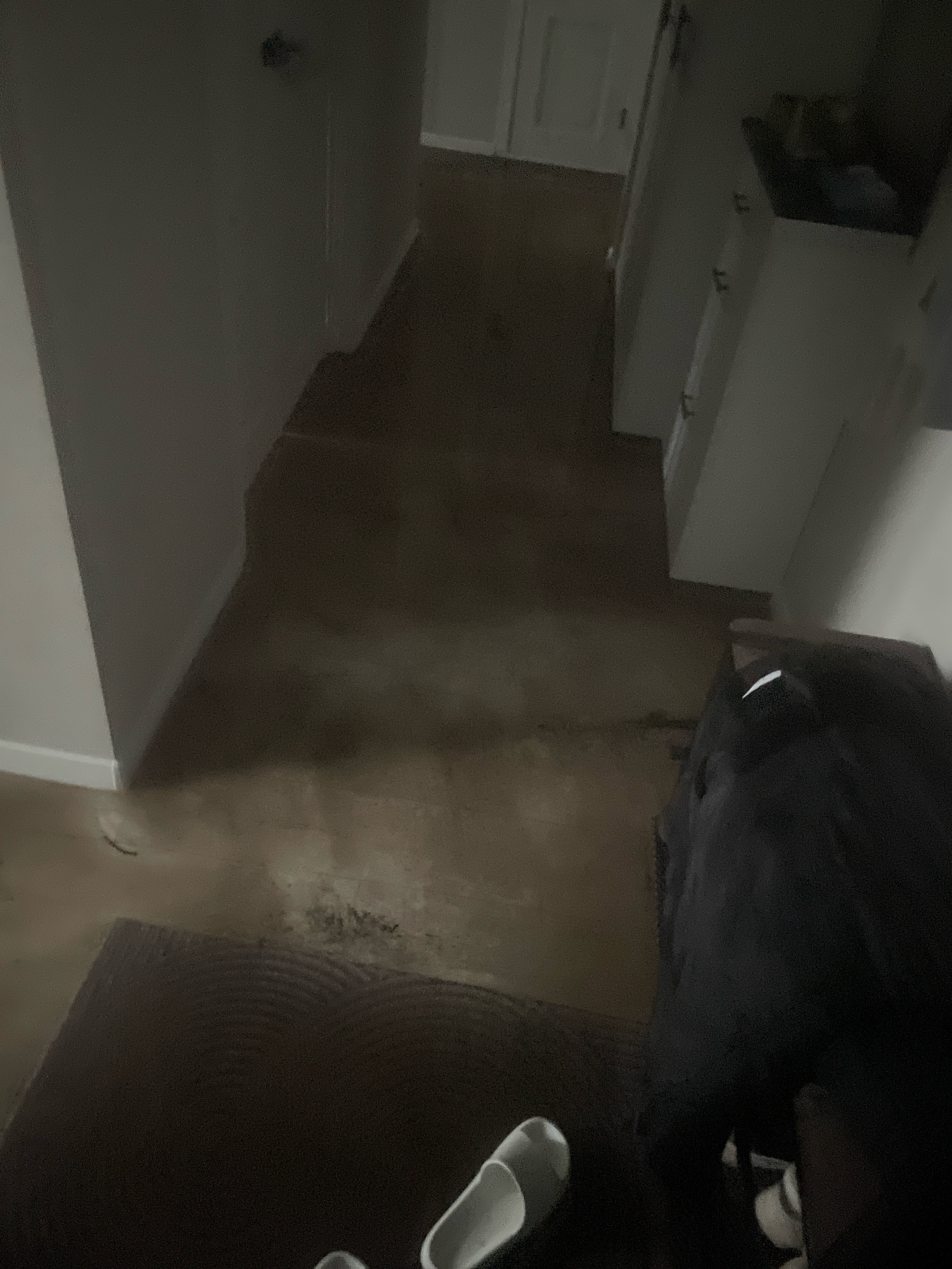 imagepickerB4E93E8F-AF2A-403B-9C3F-DB889D0A1389-656-00000015966300D7