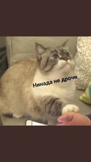 1000045768