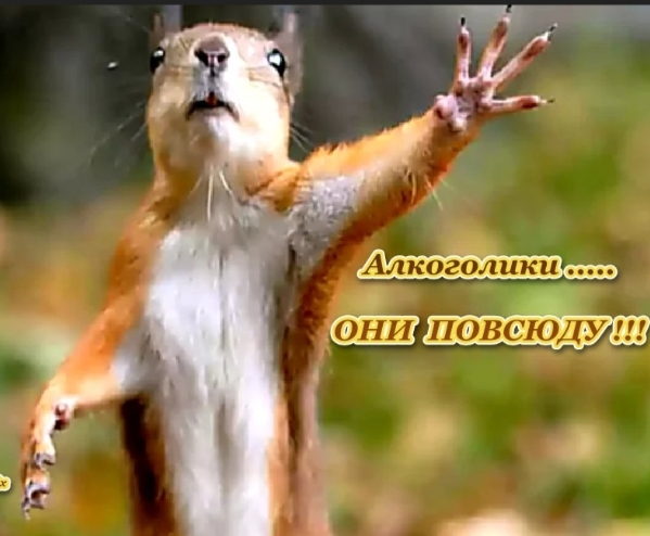 Screenshot2025-11-04-13-26-31-124641ebc0df1485bf6b47ebd018b5ee76