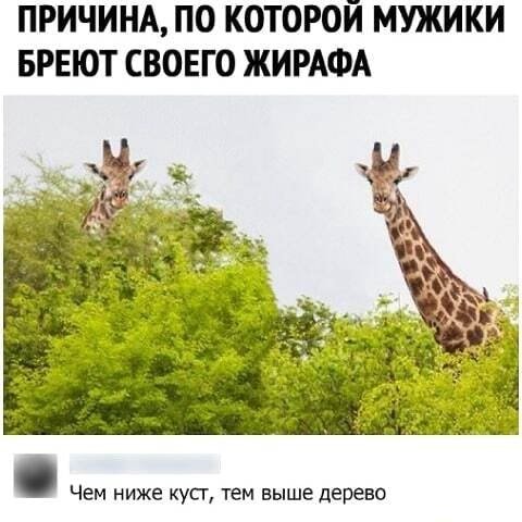 1000066280