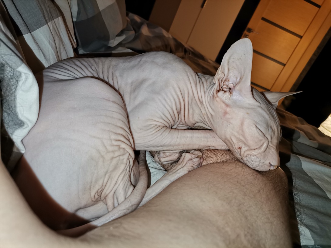 IMG20240525231817