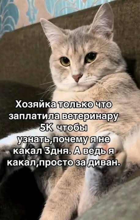 9b77114d457552e871112197797b23696afb7699ff1c2f3d390edf3d7d8e78a11