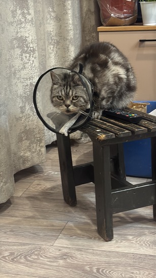 imagepicker33F5E2E1-804E-4B84-AC49-3C135072B817-54985-000022BECF864B3A