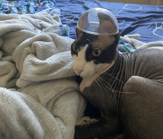 imagepicker6D3B10D8-A3B6-4D03-BD46-148B27BFDE87-83495-00003452EC2CFA1B