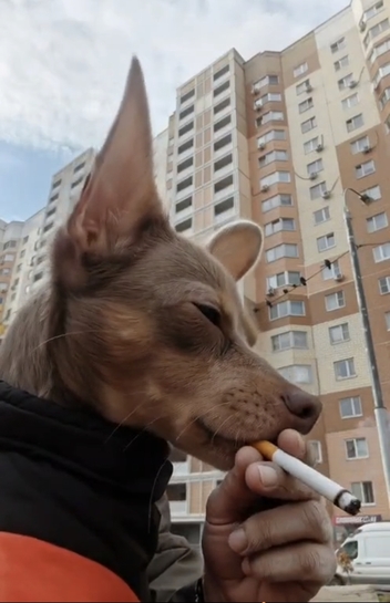 Screenshot20251113081843