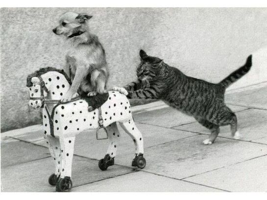 d7c78521474607e64a8ad98ea0fb8f08