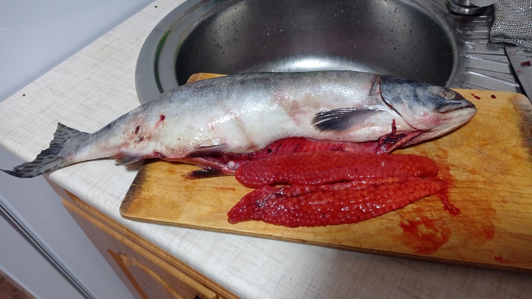 6yrexoSdROGTUPFBAz-sOsq9W-GMoLe-h12W2US7H4R3R6Stqi9Enc0sJoTvVbEvG-T4OriPGHyl36Q8Axjdgpy