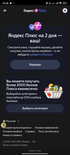 1000087291
