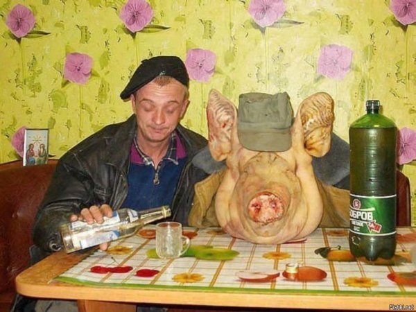 16497949713-kartinkof-club-p-rzhachnie-kartinki-pyanaya-svinya-4