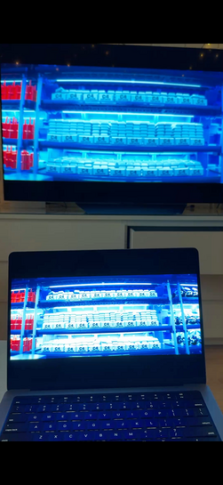 imagepicker92BDF5EB-E57F-4195-AF23-D1179FABE9E3-22207-0000094C2E003275