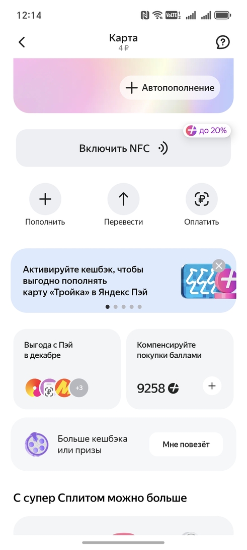 1000003116