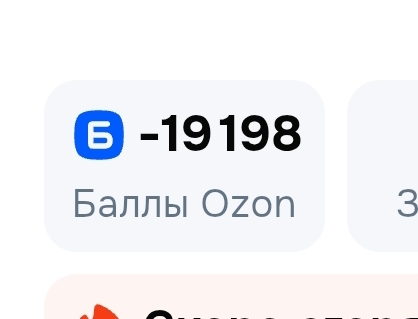 Screenshot2025-12-23-02-08-17-616ru.ozon.app.android-edit