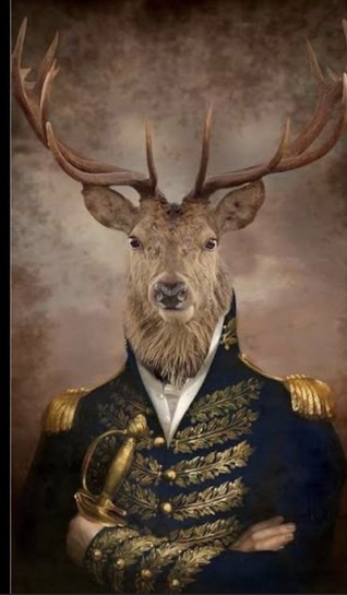 imagepicker3AB80328-34CC-46D9-A69A-AACBCB342177-6270-000000EC30D8AE41