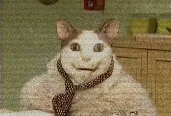 imagepicker28532B5E-5519-4140-AC33-1F80793548B5-1119-000000E28FF9B343