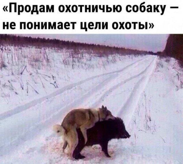 -5307823505158114818120