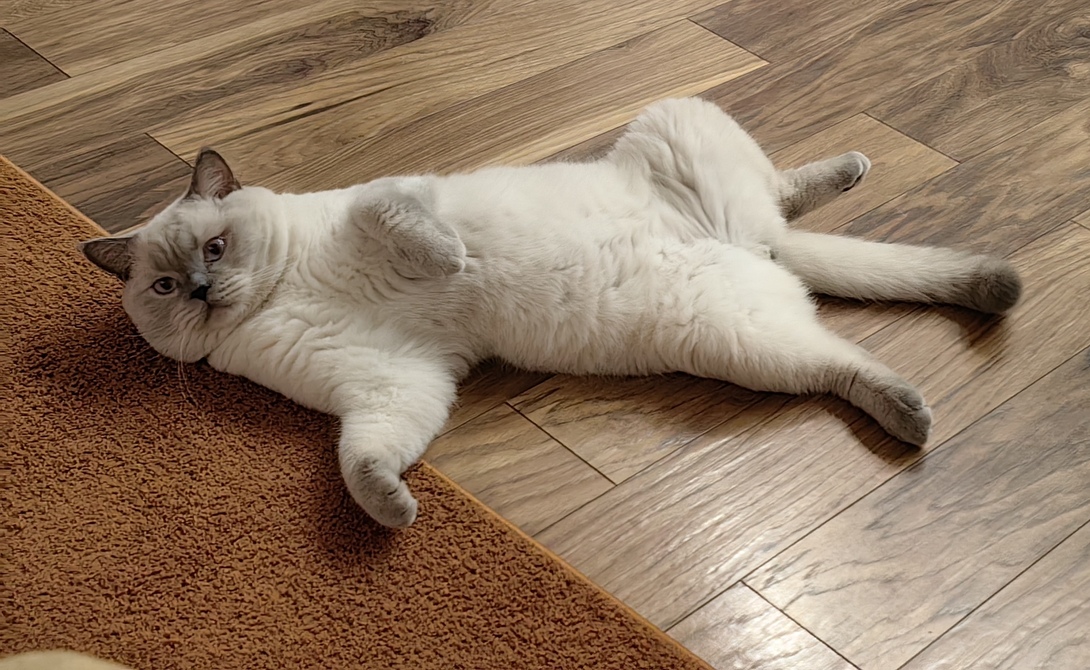 IMG20251010200502edit806059763763286